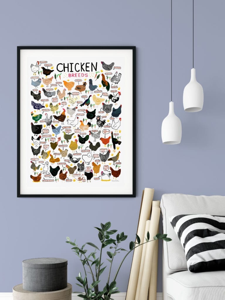 Chicken Breeds Art Print