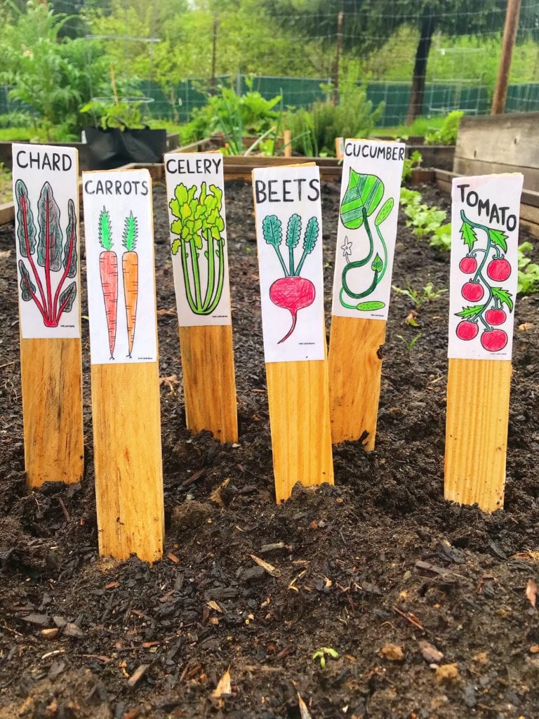 DIY Veggie and Herb Garden Stakes/Markers - 64 Individual Designs